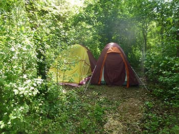 camping gratuit larchant